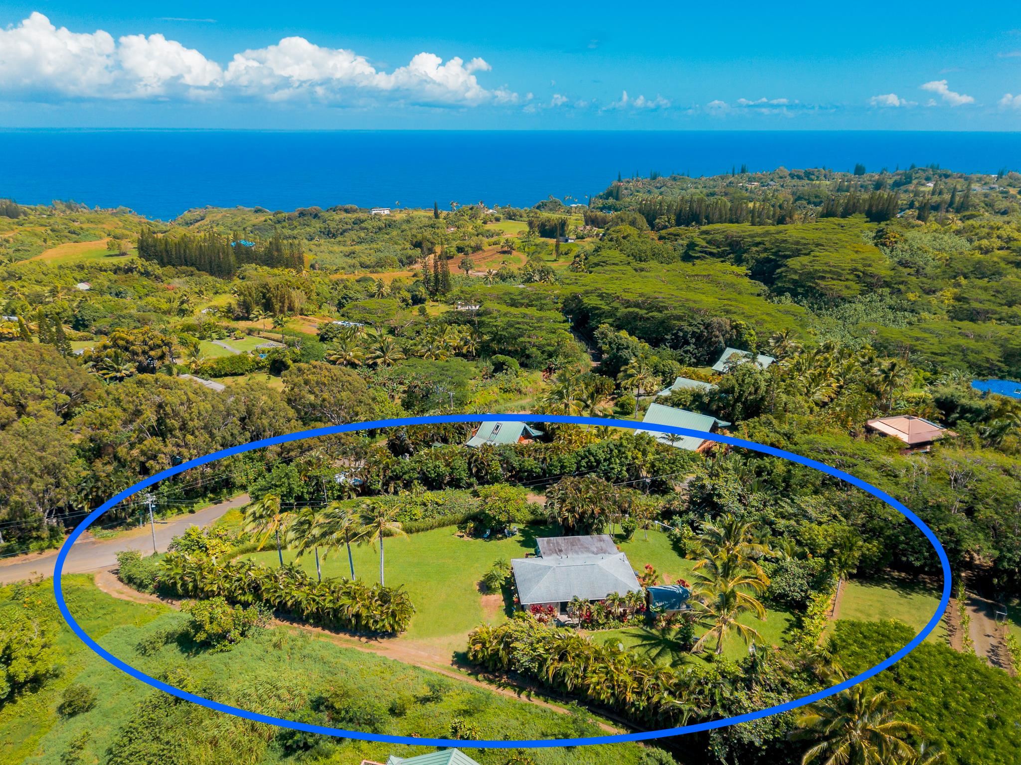 44 N Honokala Rd Property Photo 1