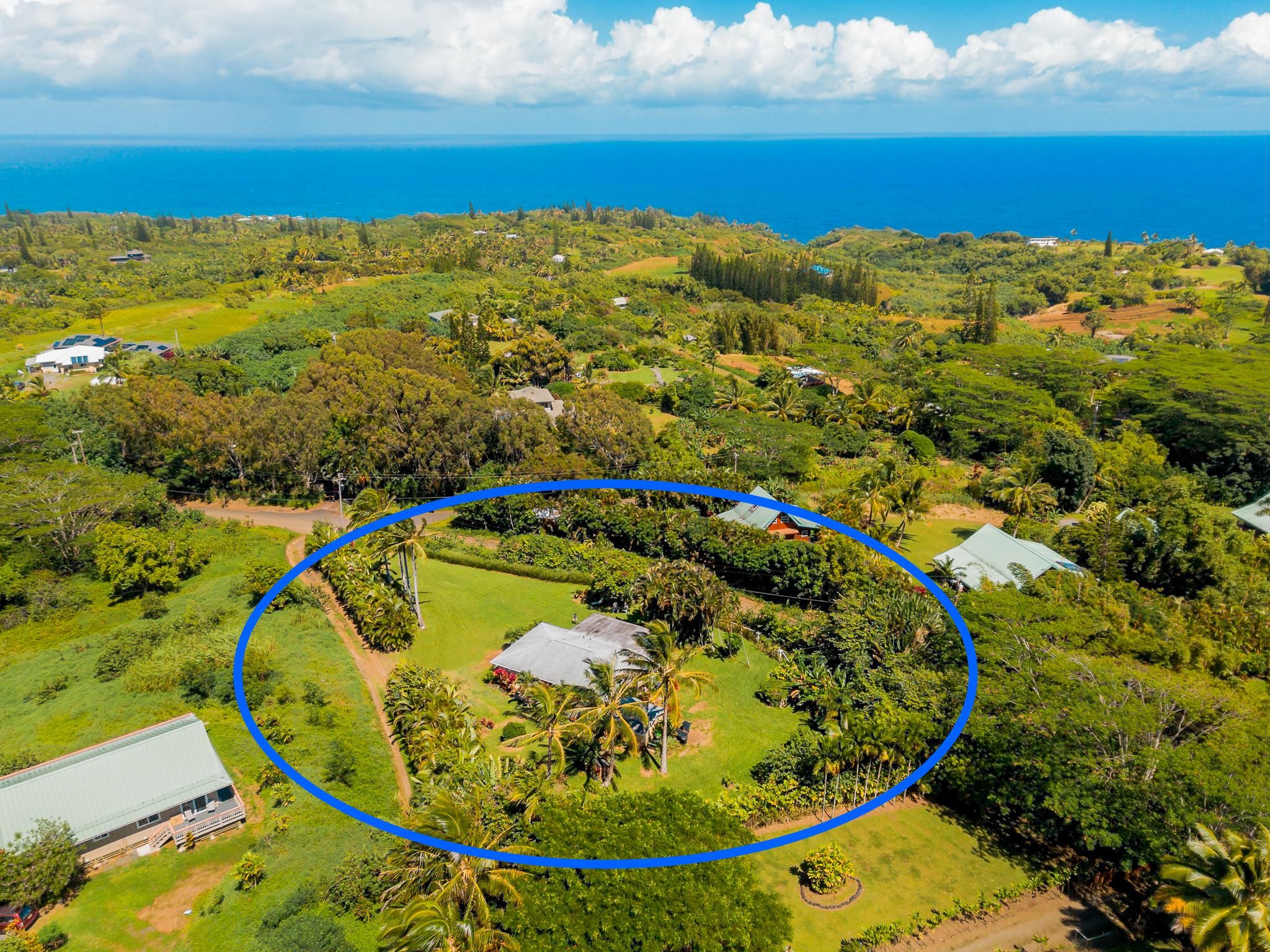 44 N Honokala Rd Property Photo 30