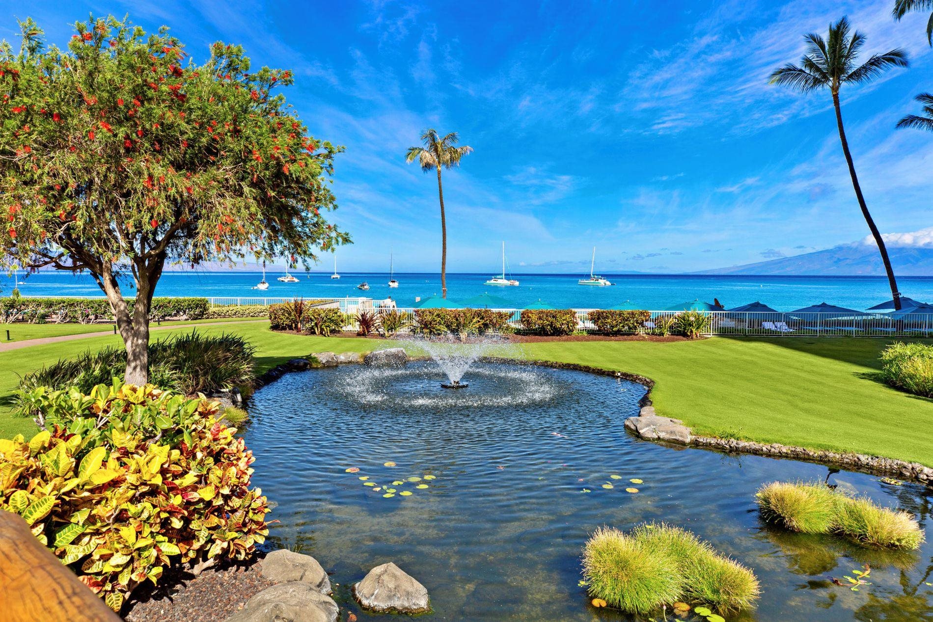 2481 Kaanapali Pkwy Property Photo 22