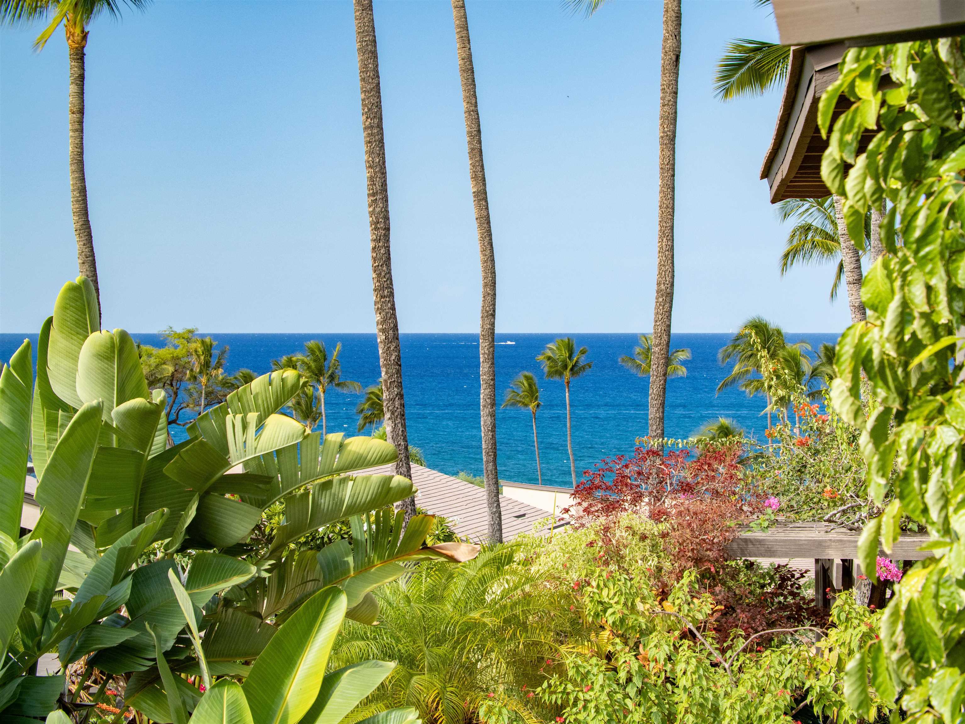 3300 Wailea Alanui Dr Property Photo 2