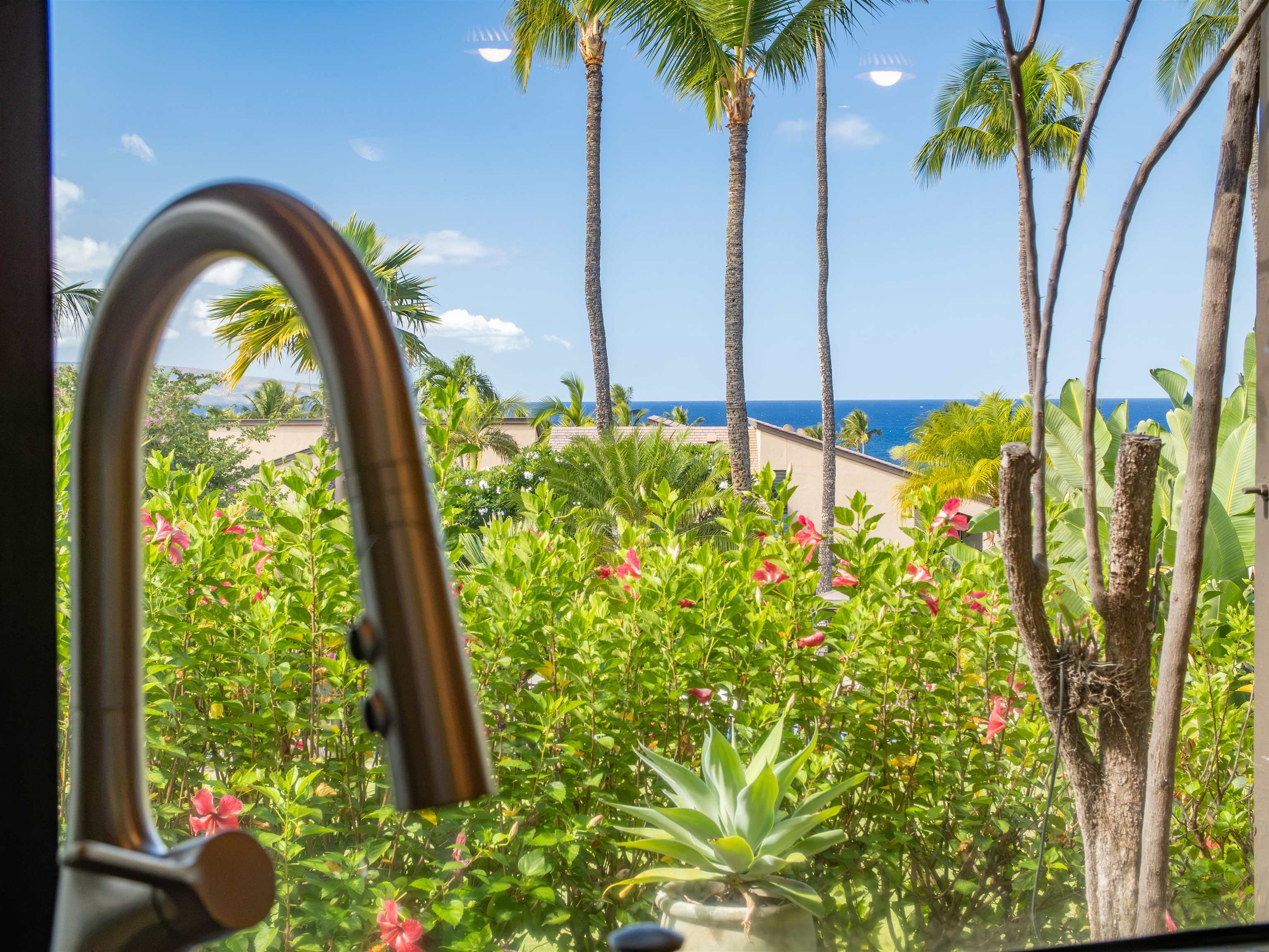 3300 Wailea Alanui Dr Property Photo 18