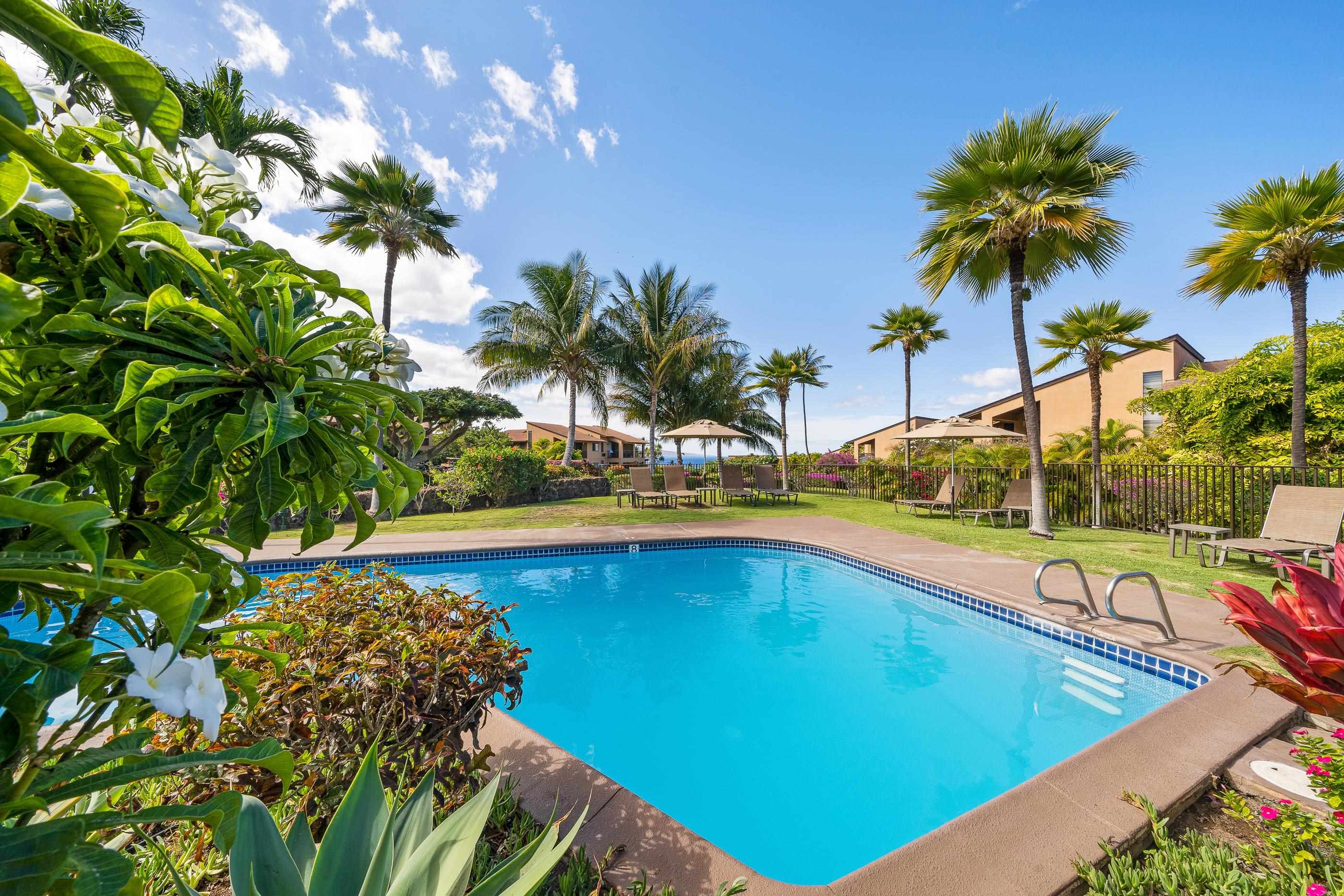 3300 Wailea Alanui Dr Property Photo 34