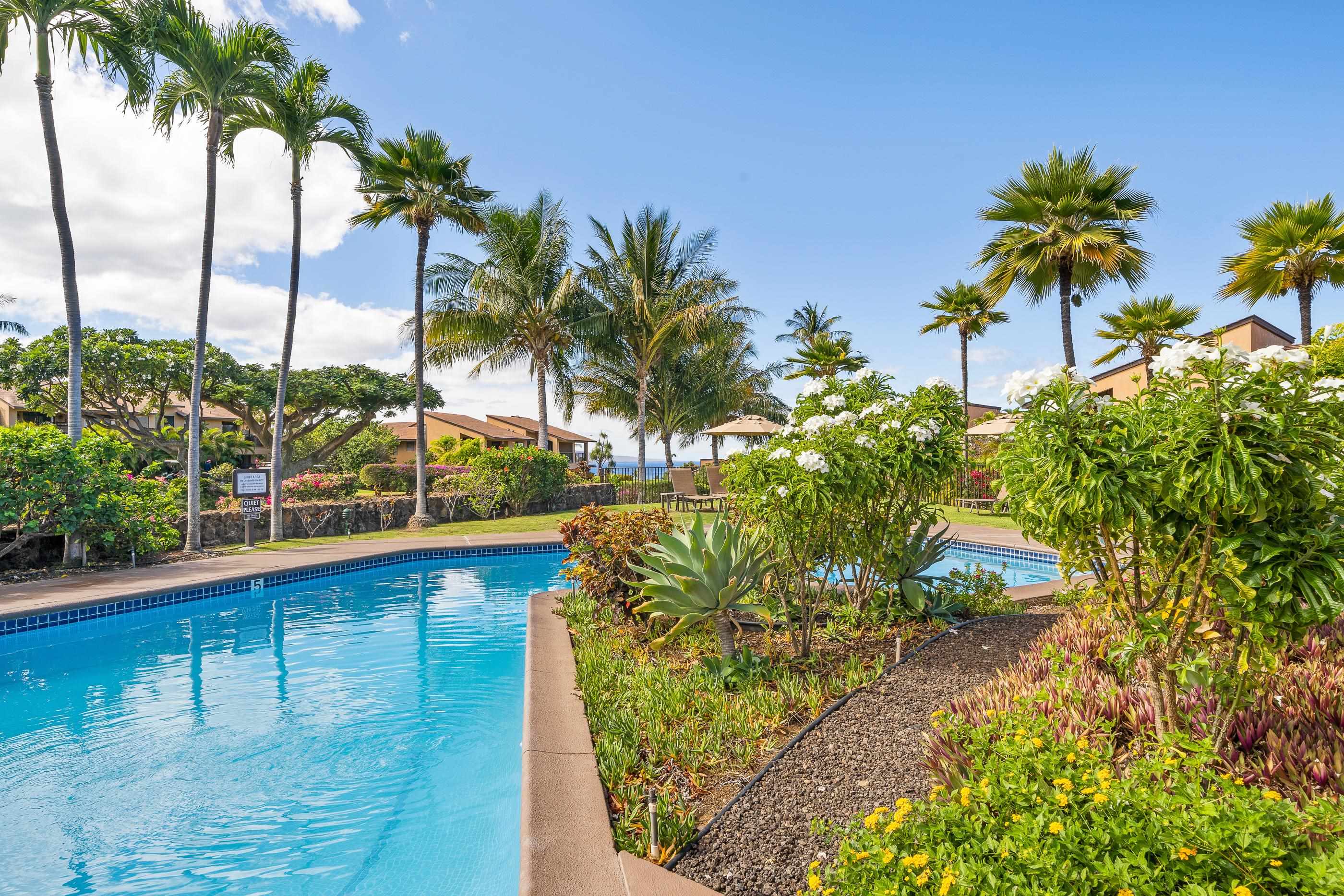 3300 Wailea Alanui Dr Property Photo 37