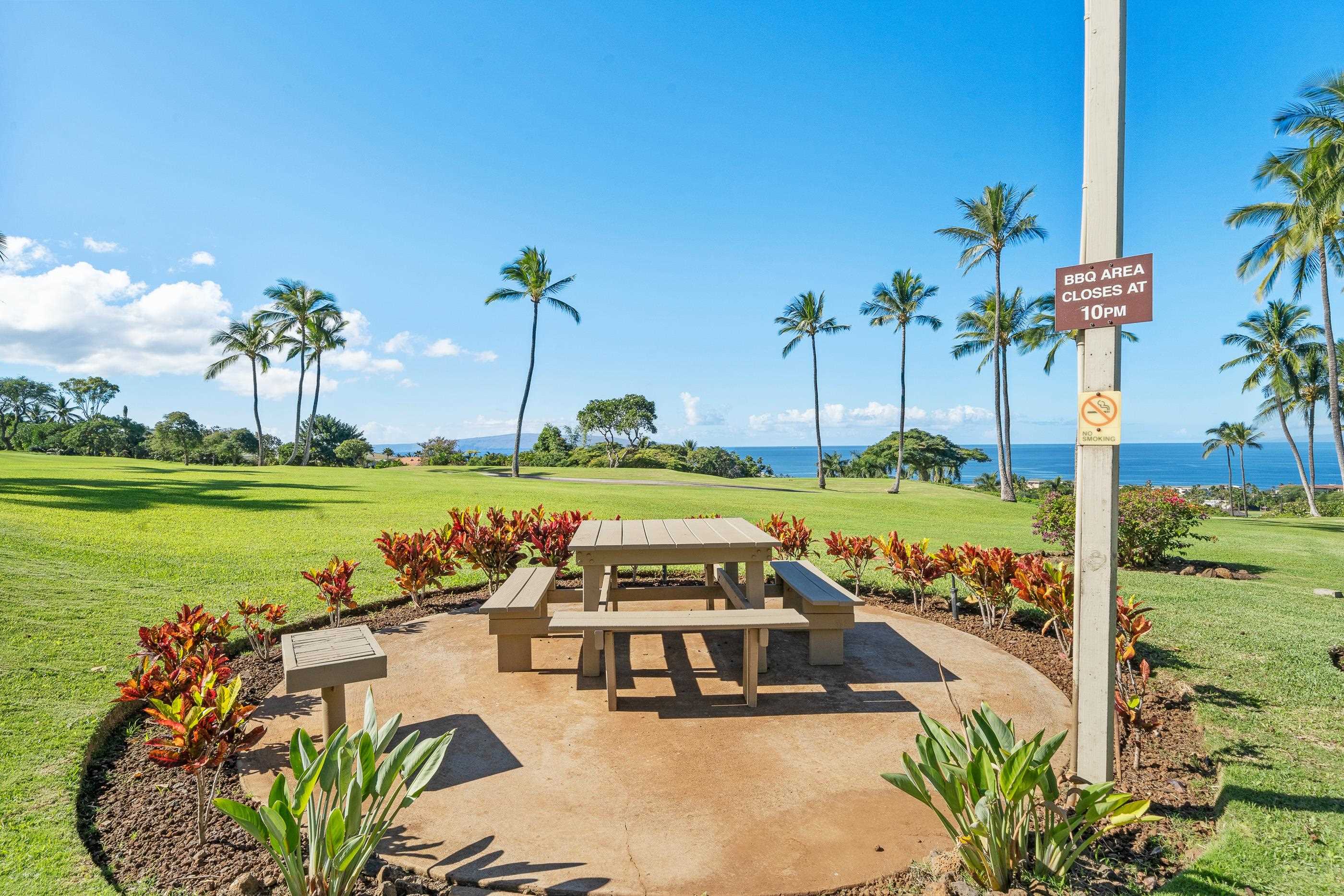 3300 Wailea Alanui Dr Property Photo 38