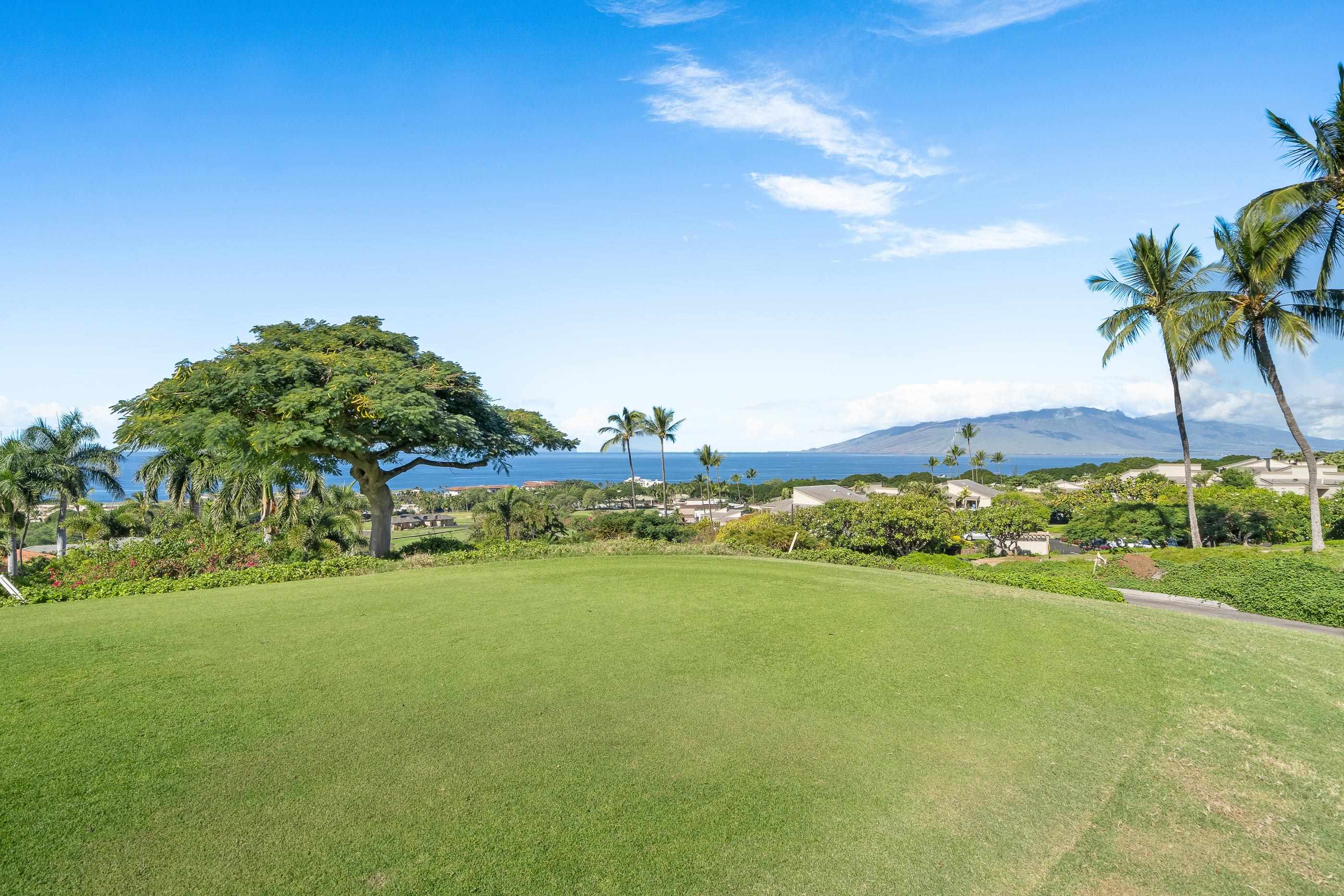 3300 Wailea Alanui Dr Property Photo 39