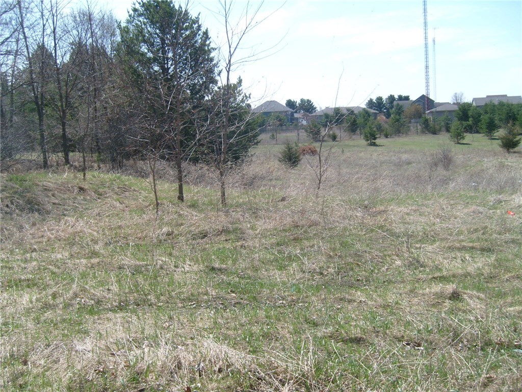 1825 Mitchell Avenue Property Photo 1