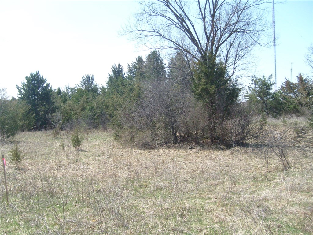 1909 Mitchell Avenue Property Photo 1