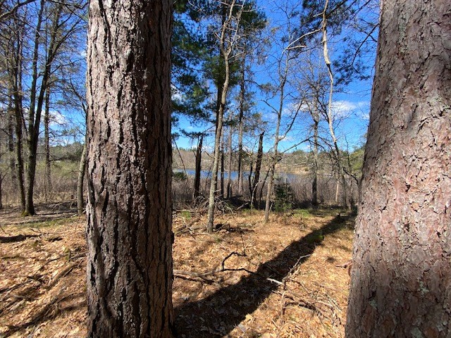 N13369 Osprey Drive Property Photo 12