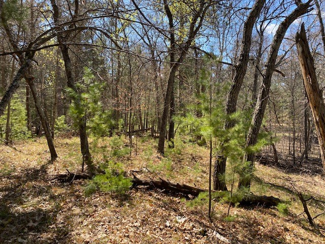 N13369 Osprey Drive Property Photo 15