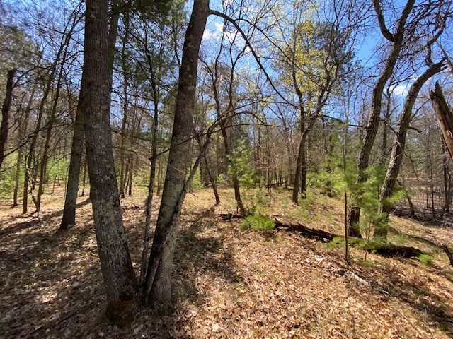 N13369 Osprey Drive Property Photo 17
