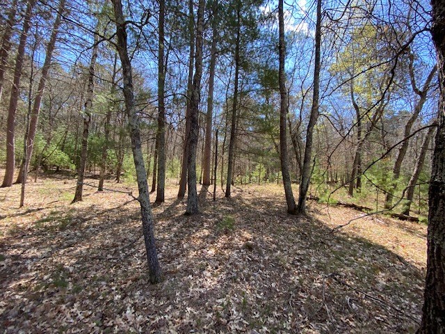 N13369 Osprey Drive Property Photo 18
