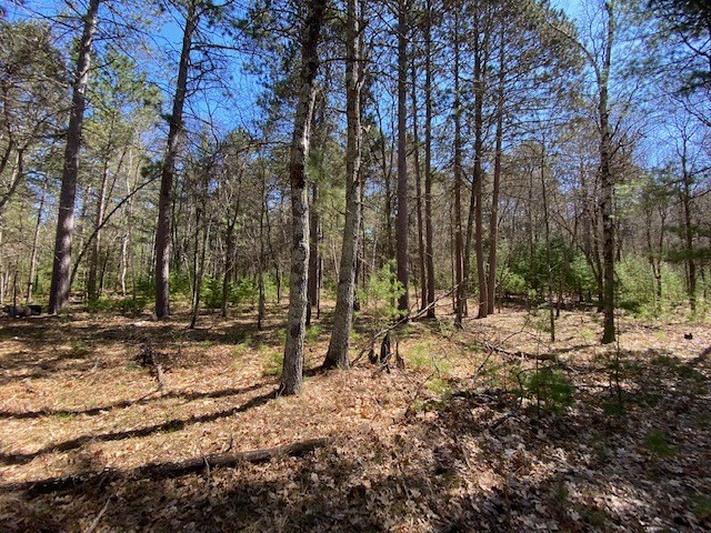 N13369 Osprey Drive Property Photo 19
