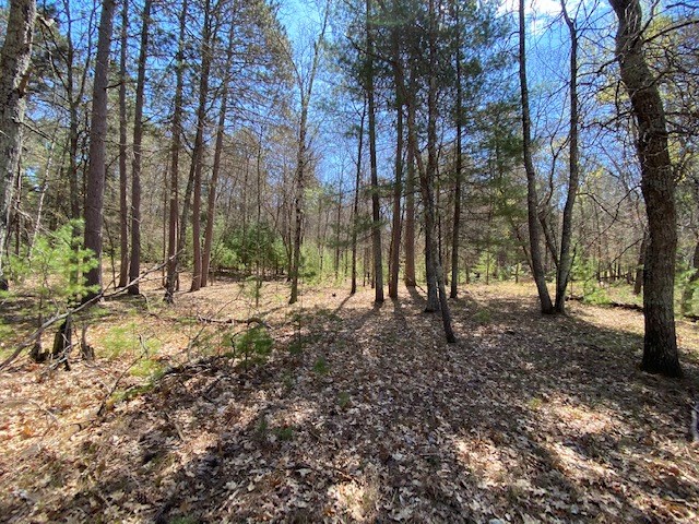 N13369 Osprey Drive Property Photo 20
