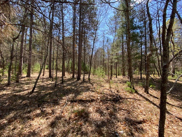 N13369 Osprey Drive Property Photo 21