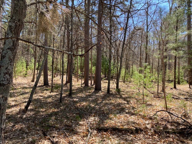N13369 Osprey Drive Property Photo 22