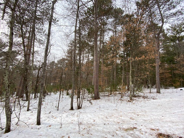 N13369 Osprey Drive Property Photo 24