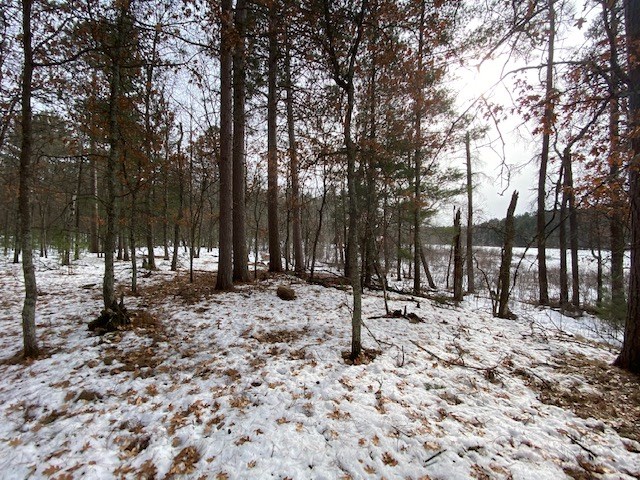 N13369 Osprey Drive Property Photo 25
