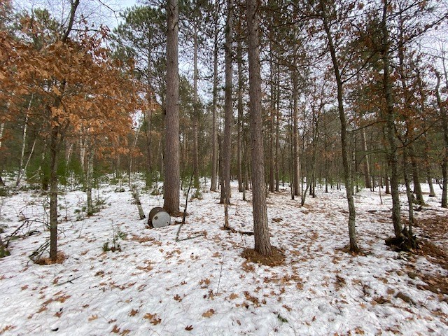 N13369 Osprey Drive Property Photo 26