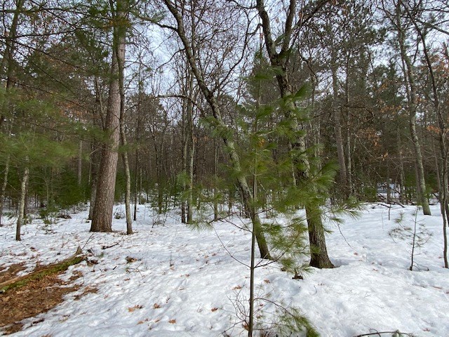 N13369 Osprey Drive Property Photo 28
