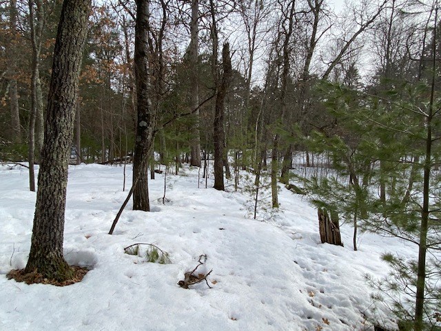 N13369 Osprey Drive Property Photo 29
