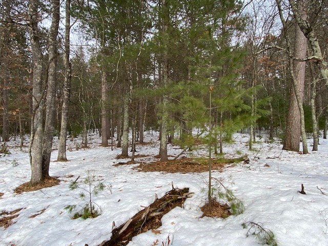 N13369 Osprey Drive Property Photo 30