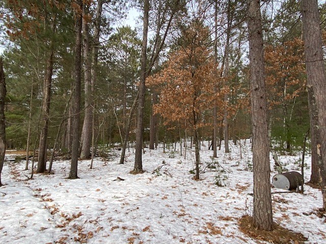 N13369 Osprey Drive Property Photo 31