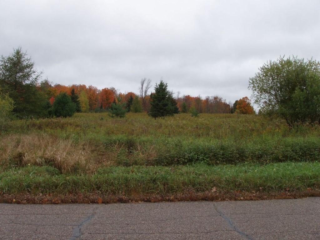 Lot 1 Margaret Lane Property Photo