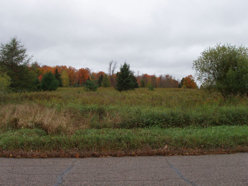Lot 1 Margaret Lane Property Photo 1