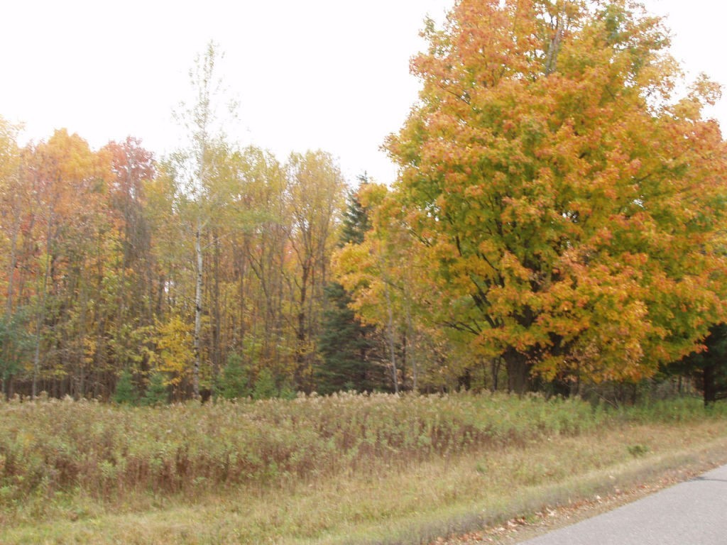 Lot 4 Margaret Lane Property Photo