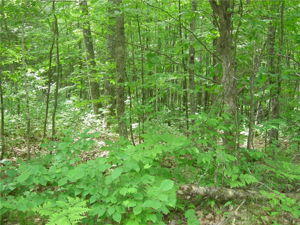 0 Tahkodah Lake Road Property Photo 1