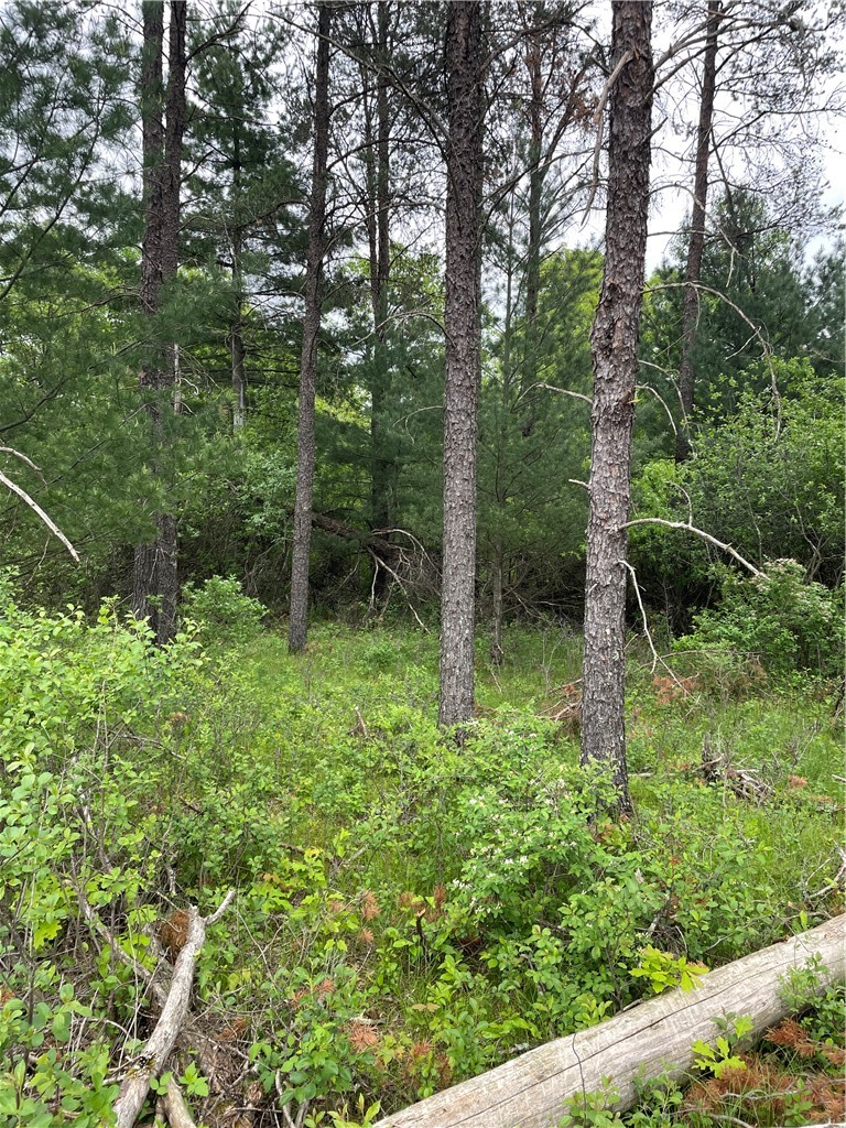 Lot 7 112th Street Property Photo 6