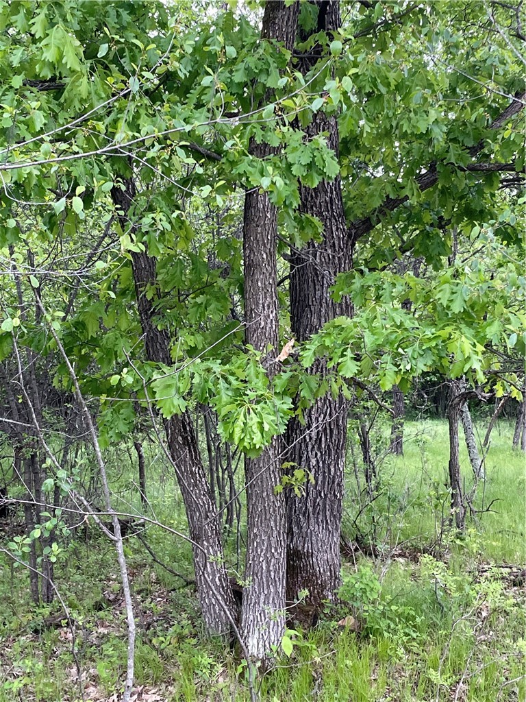 Lot 7 112th Street Property Photo 7