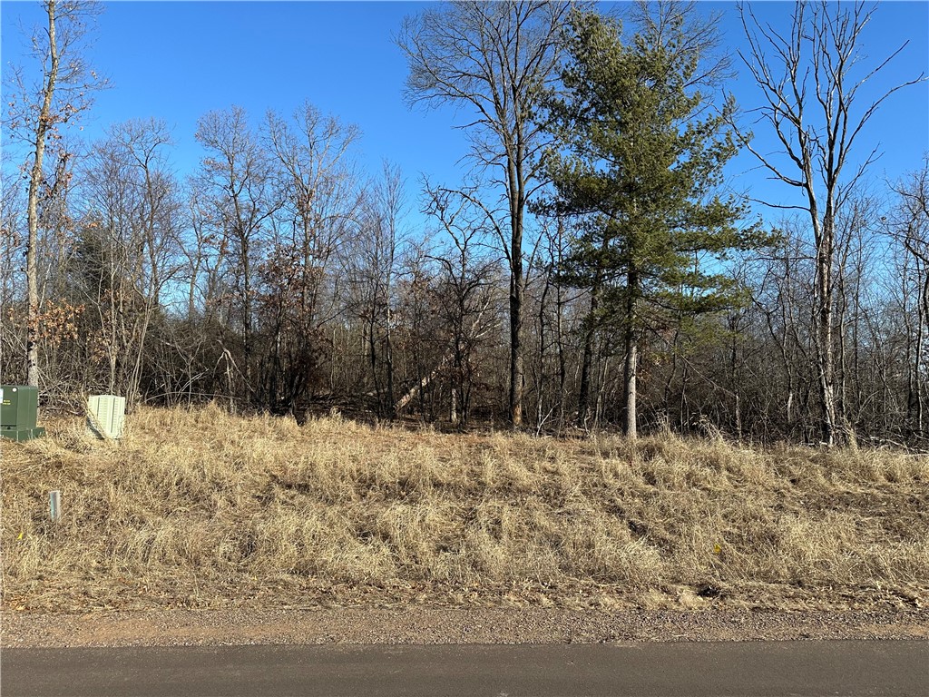 Lot 21 35th Avenue Property Photo 1