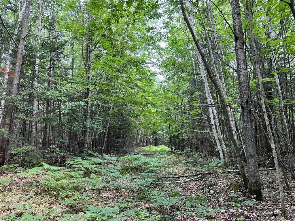 Tbd Highway 2 Property Photo