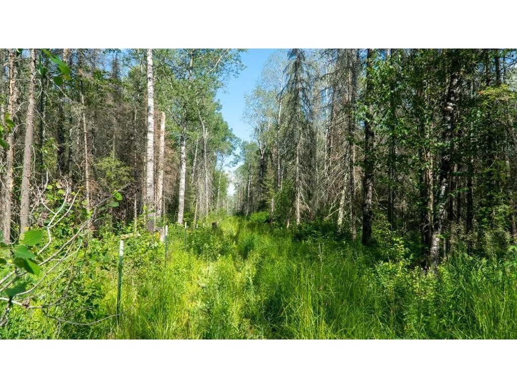 74035 County Highway A Property Photo 30