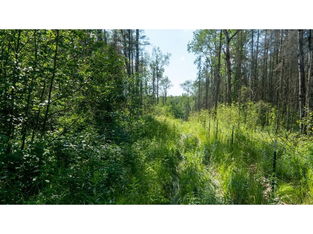 74035 County Highway A Property Photo 33