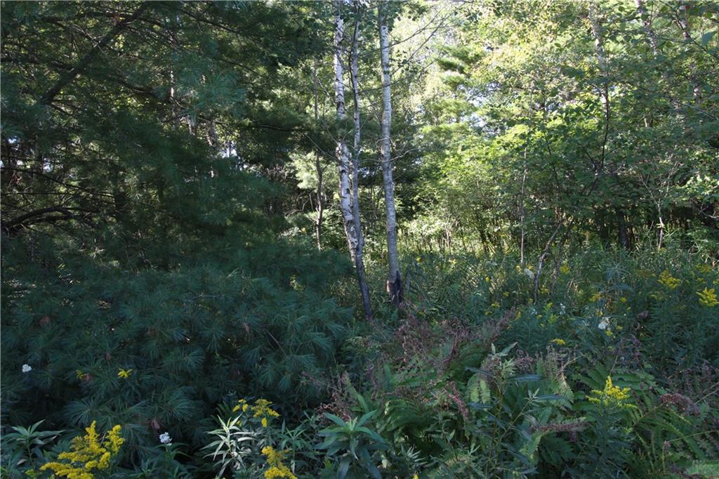 0 850th Avenue Property Photo 3