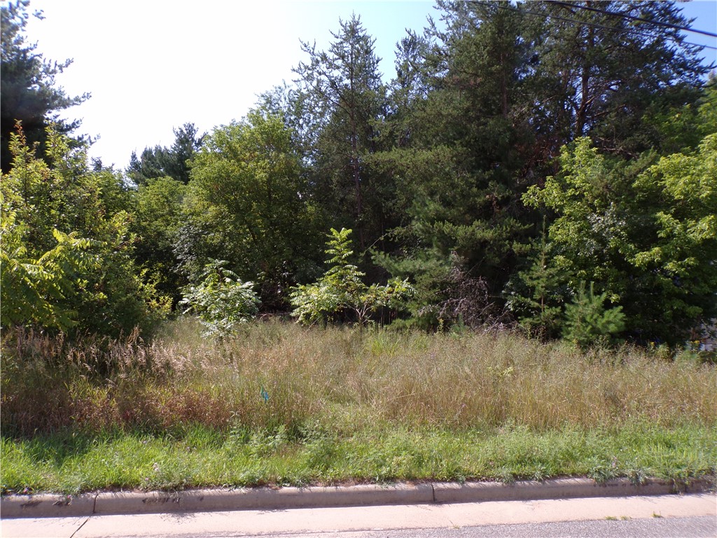 1707 Mitchell Avenue Property Photo 1