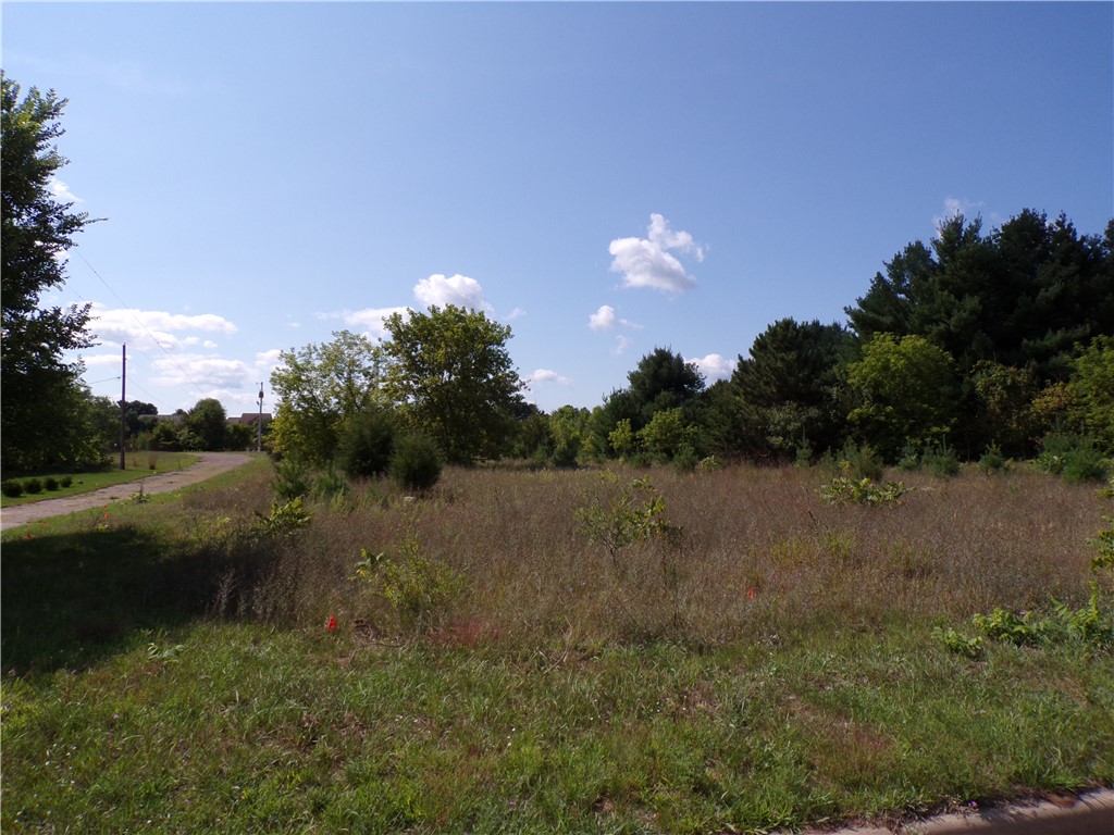 1715 Mitchell Avenue Property Photo 1