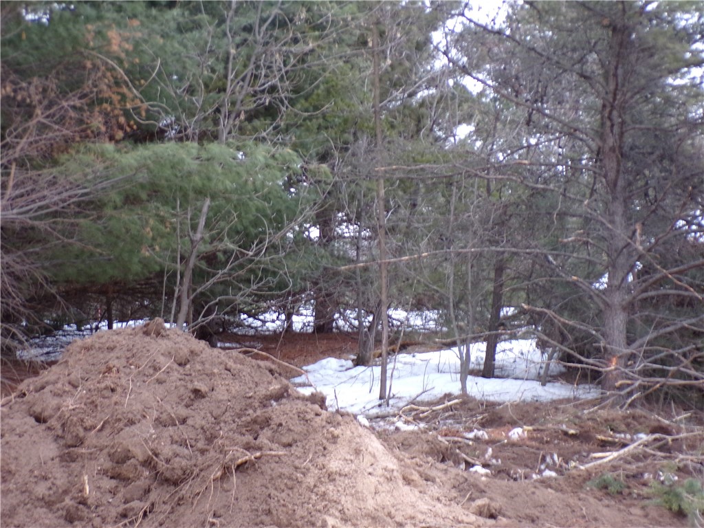 1664 Red Pine Court Property Photo 2