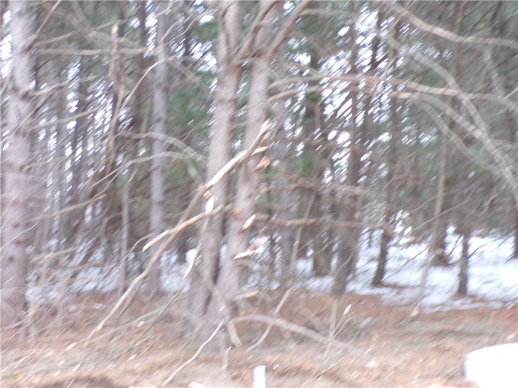 1656 Red Pine Court Property Photo 2