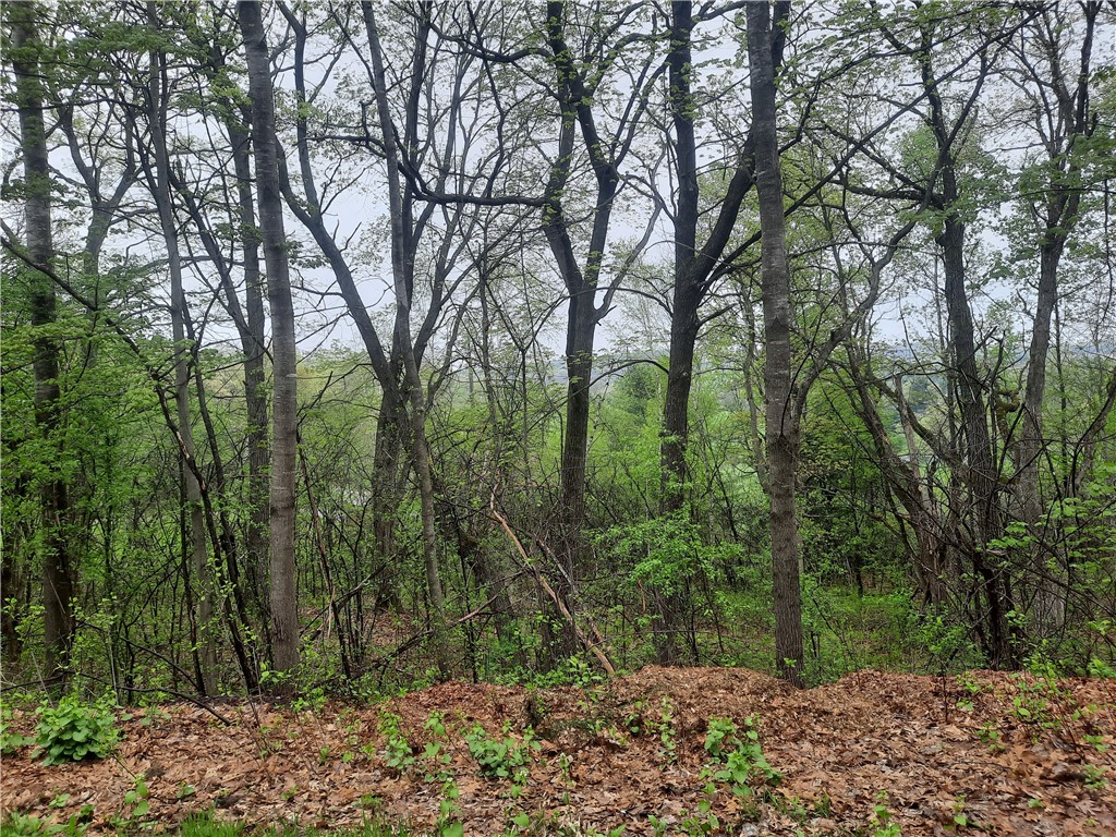 Lot 103 Rye Bluff Road Property Photo 2