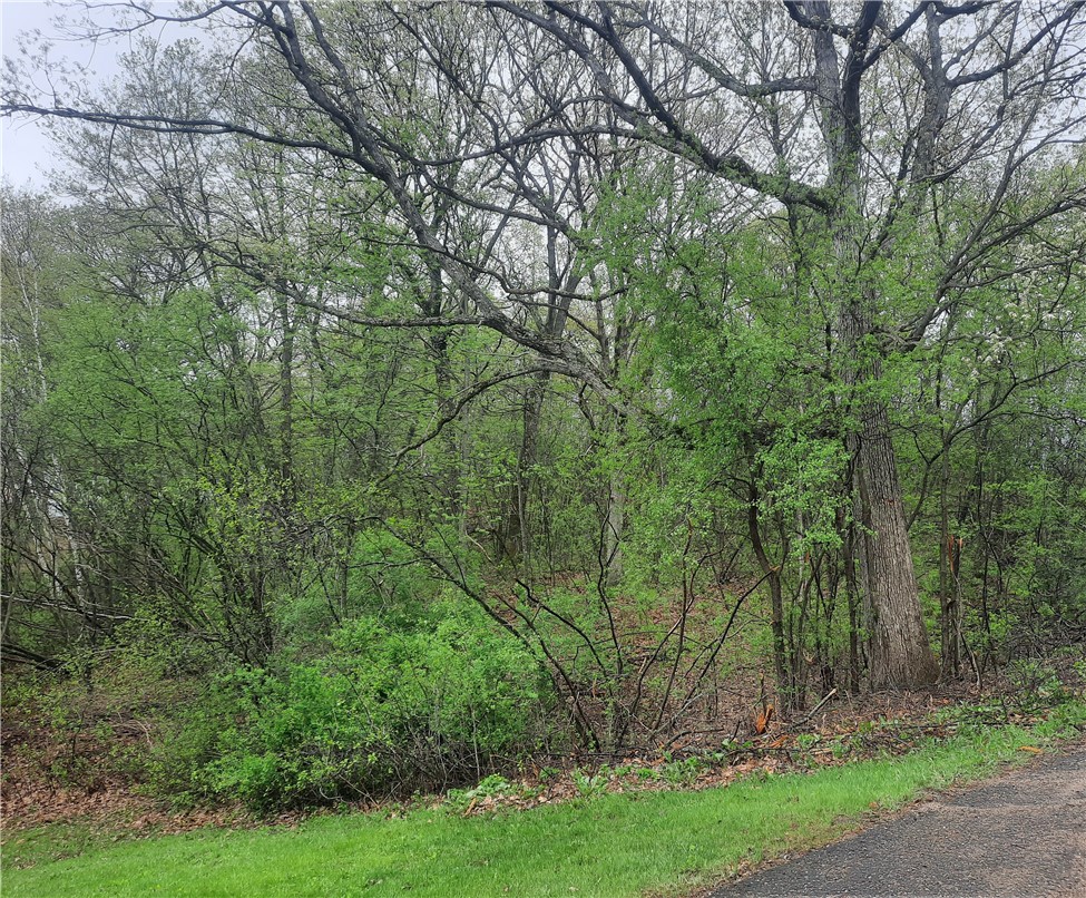 Lot 103 Rye Bluff Road Property Photo 3