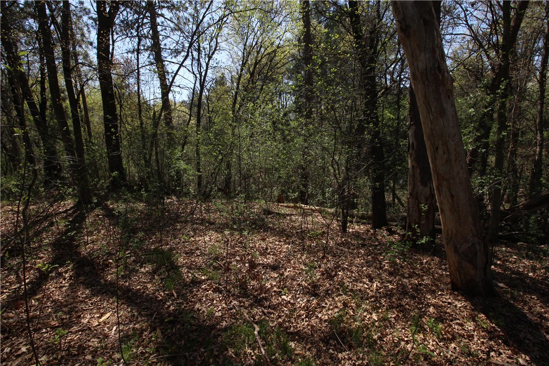 3917 North Shore Drive Property Photo 13