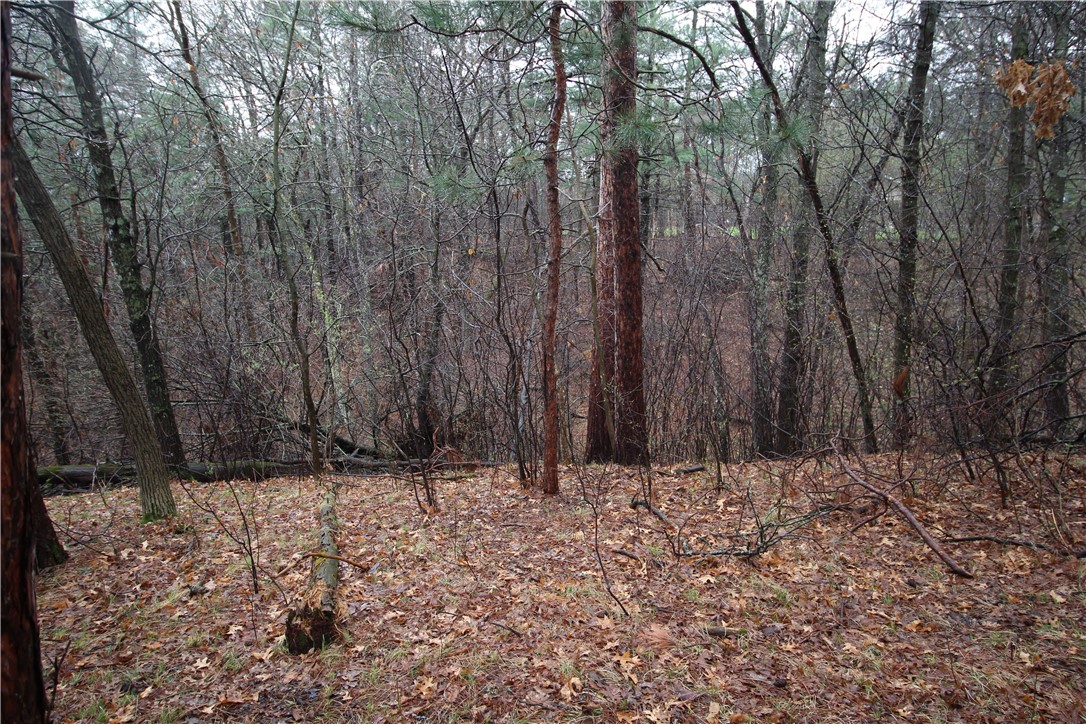 3917 North Shore Drive Property Photo 14