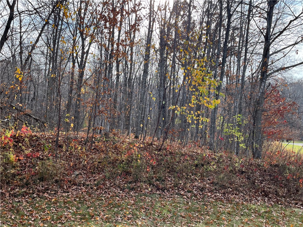 Lot 17 Wilderness Hills Lane Property Photo 4