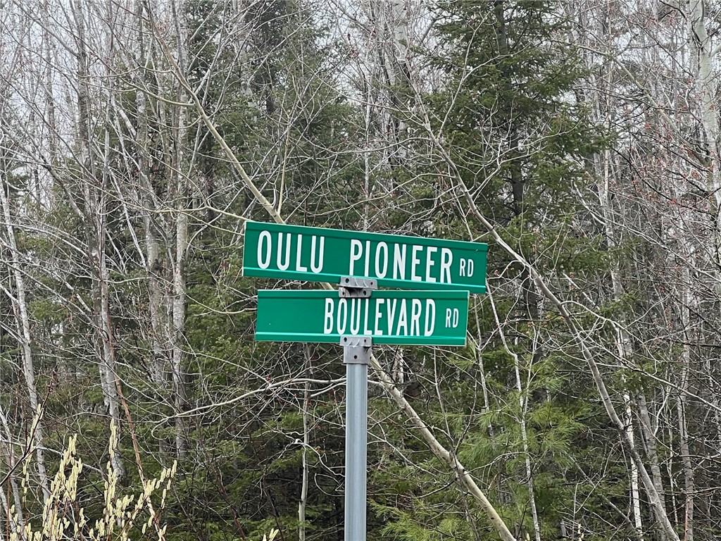 Tbd Boulevard Road Property Photo 24