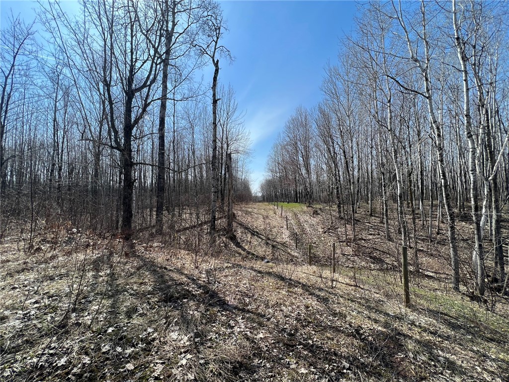 1573075 Property Photo 4