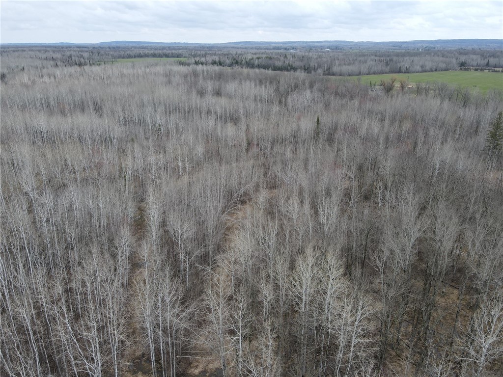 1573075 Property Photo 10