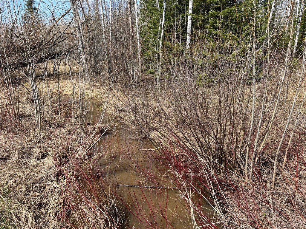 1573075 Property Photo 21